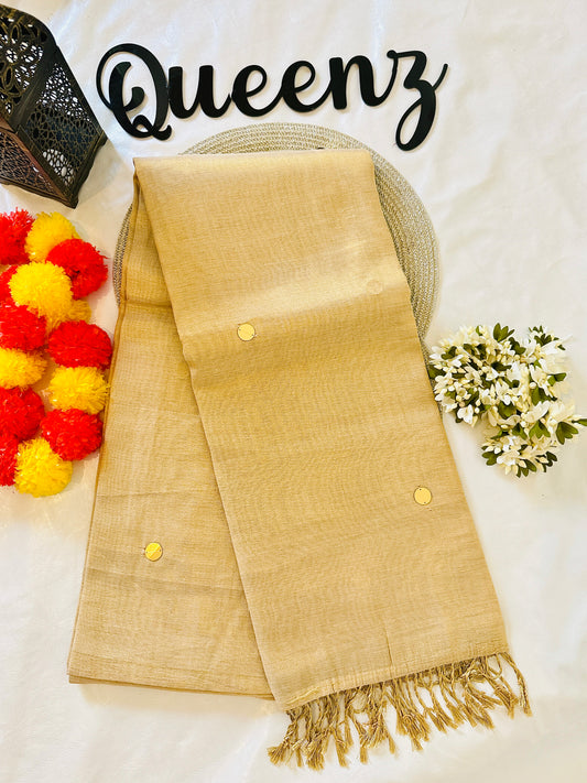 SS348- Coin Sequins Worked Tissue Saree