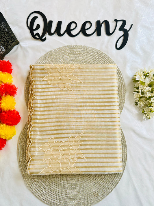 SS339-Premium Tissue Saree with Applique Work