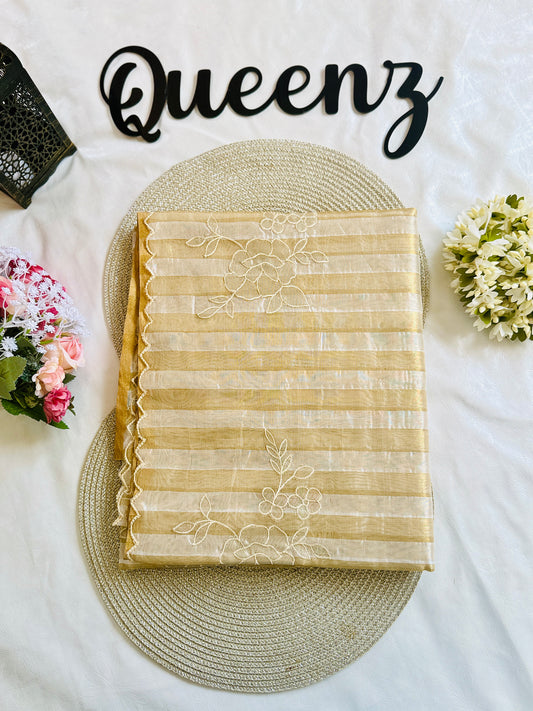 SS340- Premium Tissue Saree with Applique Work