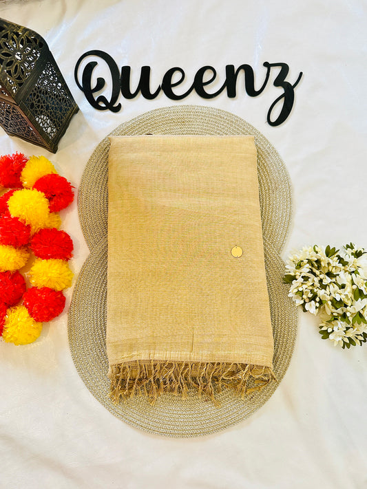 SS348- Coin Sequins Worked Tissue Saree