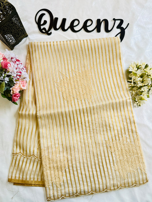 SS339-Premium Tissue Saree with Applique Work